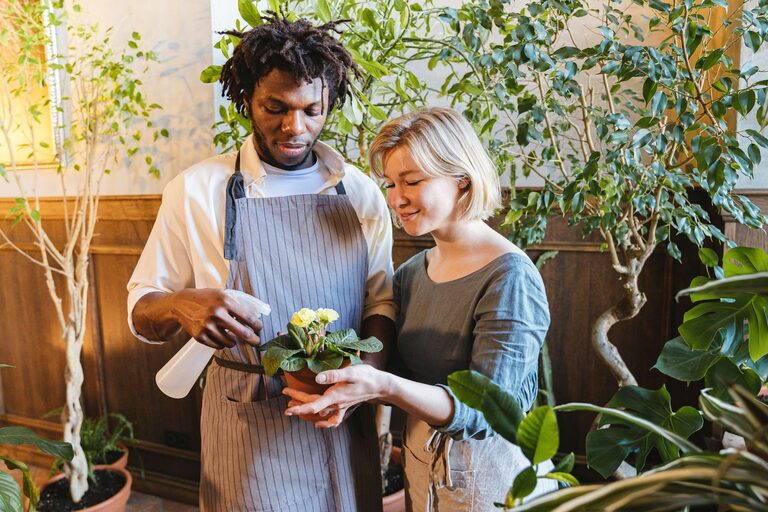 Consejos para mantener tus plantas de interior saludables